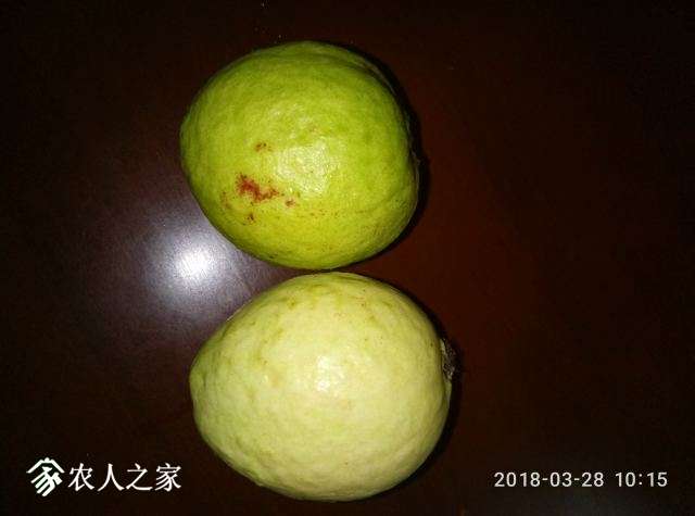 P80328-101529.jpg