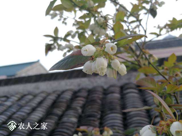 083143xizqsymbppiupqu0.jpg