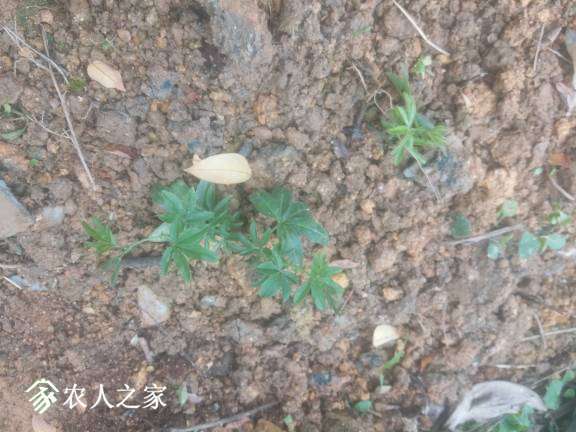 105126b8ty8gps889jpyyp.jpg