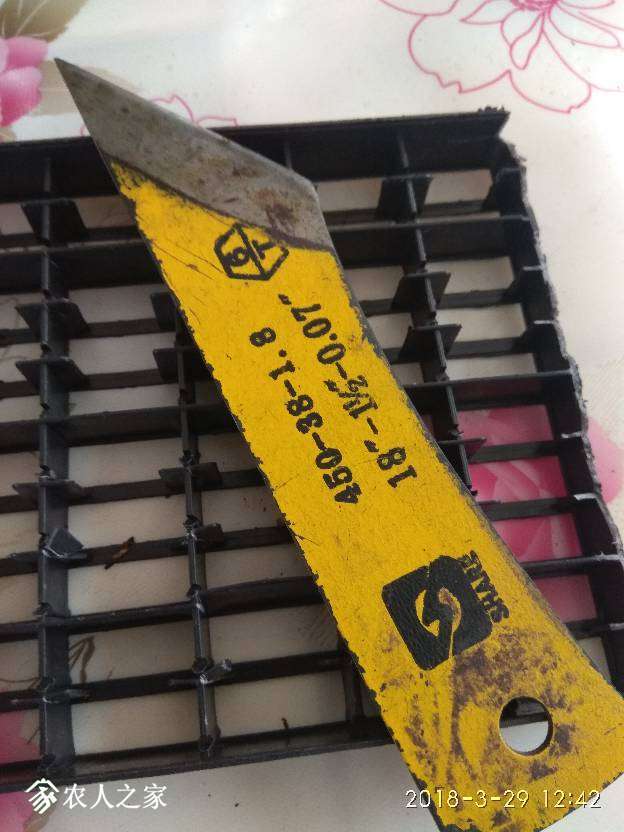 124304zt2n1x8nl1zjjgfd.jpg