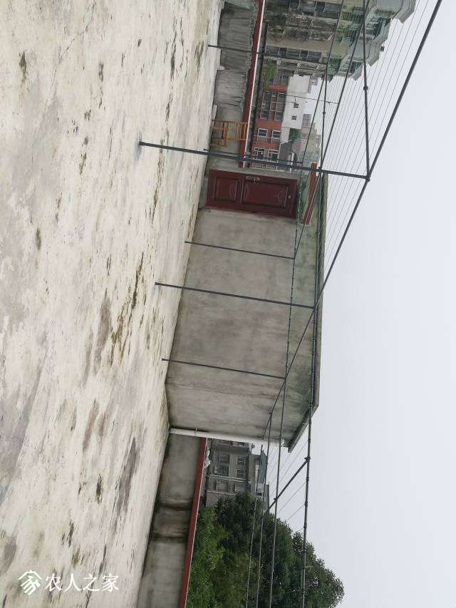 185417p6ii92kliglqlg88.jpg