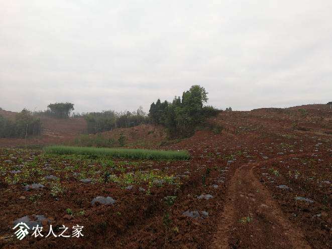 144939uorosyg5s5hjo5uh.jpg