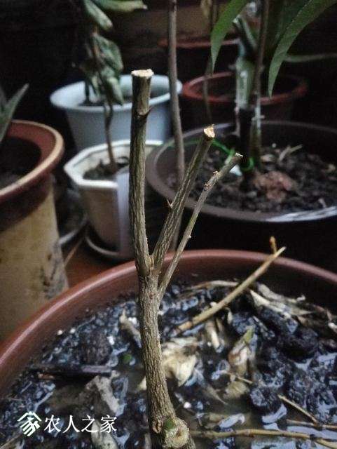 ͼƬ20180330203028.jpg