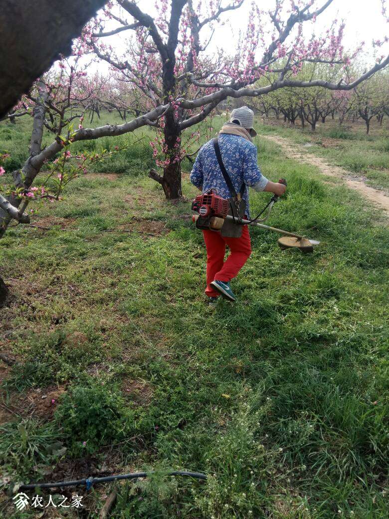 170540zmwbqbdtcudwozdd.jpg