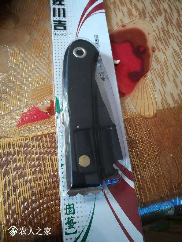 182735suul6unzo2uelm7c.jpg