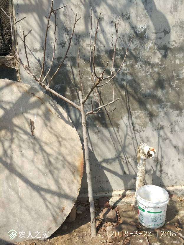 143720kdeg89dztgd4fvet.jpg