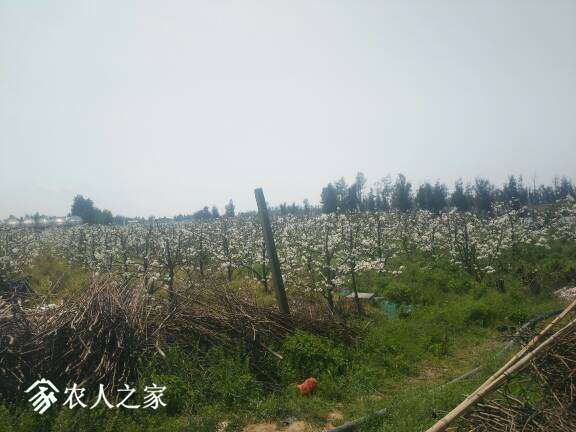 201305gkllp03erteket1f.jpg