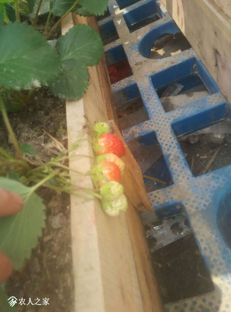 123725nzuc66gbz6viv2oz.jpg