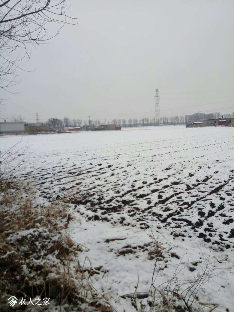 090326cthc4kzcaj686w7h.jpg