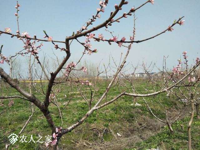 ΢��ͼƬ_20180405162200.jpg