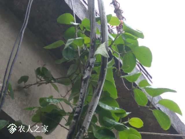 IMG_20180405_144543.jpg