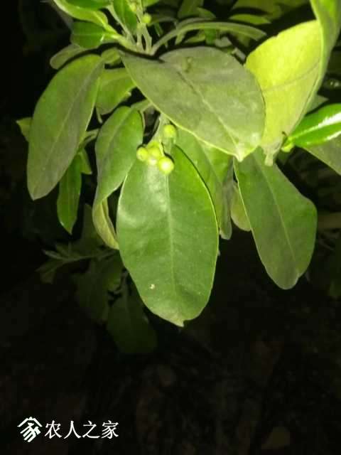 IMG_20180404_221151.jpg