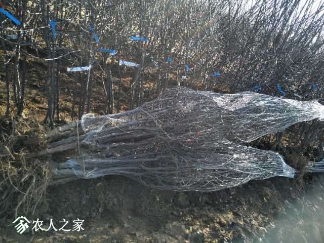 IMG20180309152621.jpg