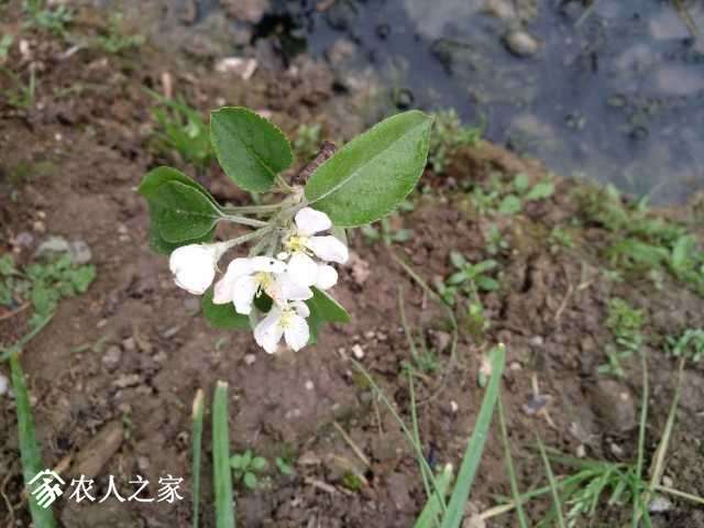 IMG_20180403_152737.jpg