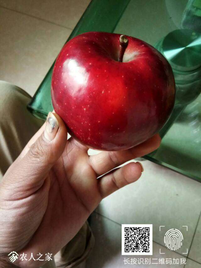 203034t8n5m2ndyu7nveu7.jpg