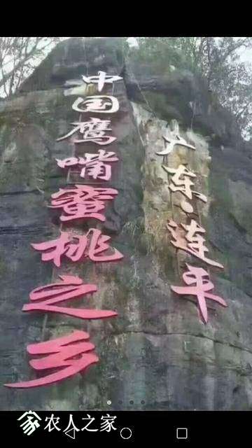 054614ha63378utl13c0cc.jpg