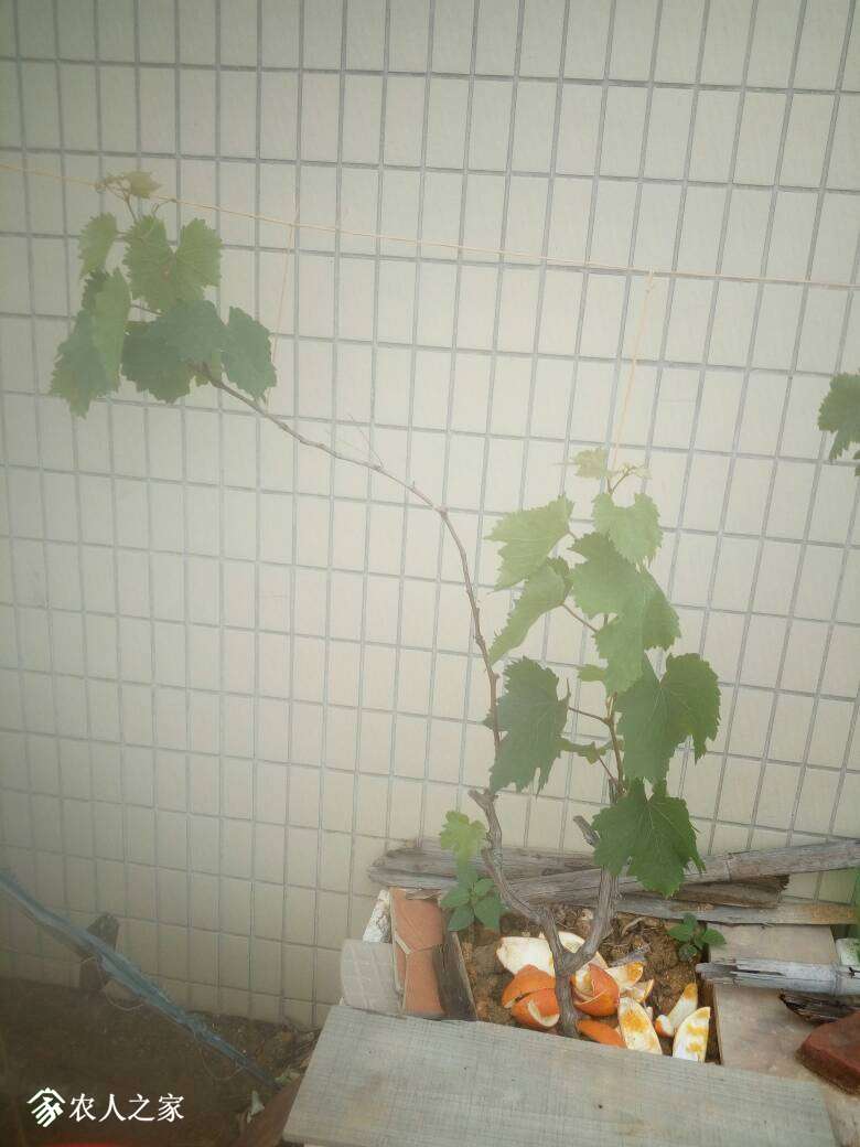 134551vr5nkiu5nuf5zuuf.jpg