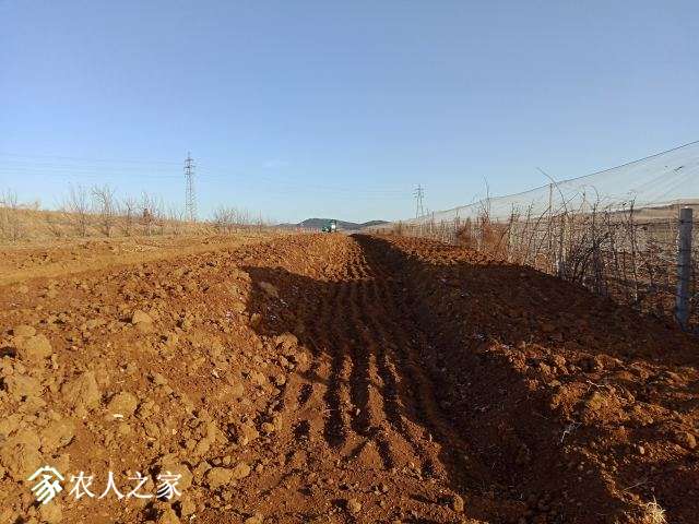 IMG20180404065610.jpg