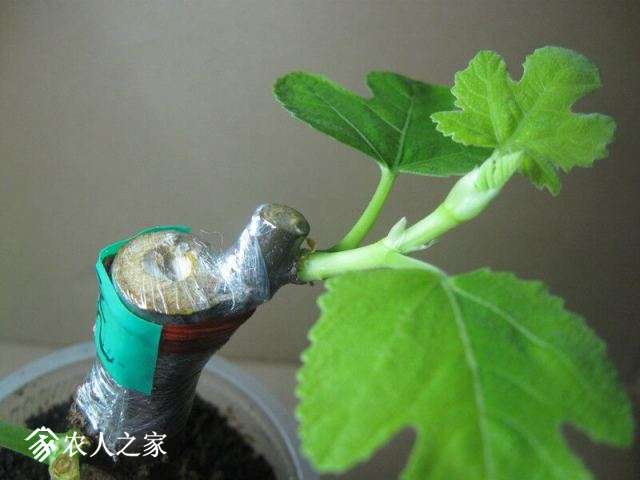 QQͼƬ20180407220347.jpg