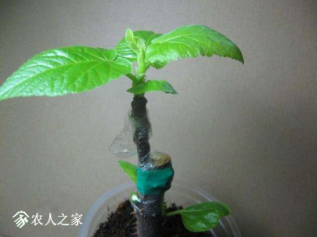 QQͼƬ20180407220338.jpg