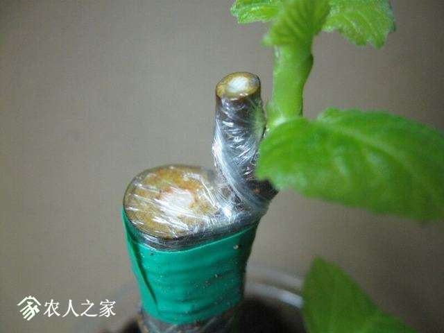 QQͼƬ20180407220238.jpg
