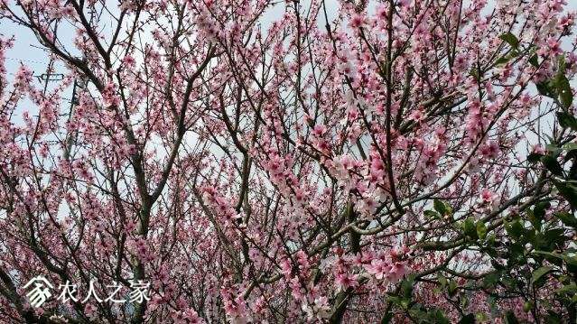 20180329_140236_resized.jpg