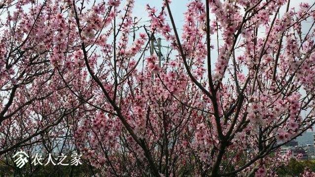 20180329_140318_resized.jpg