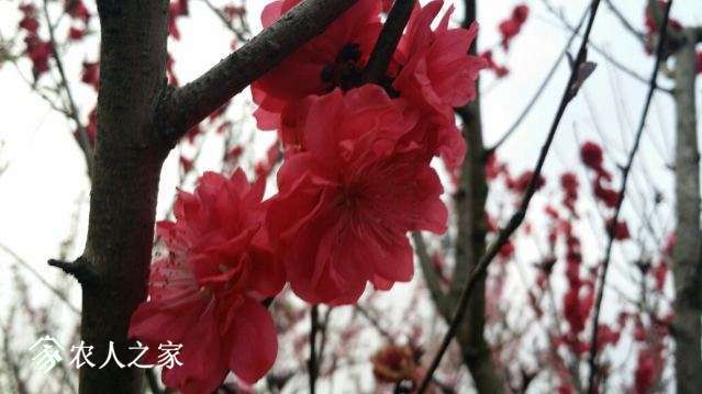 20180402_174839_resized.jpg