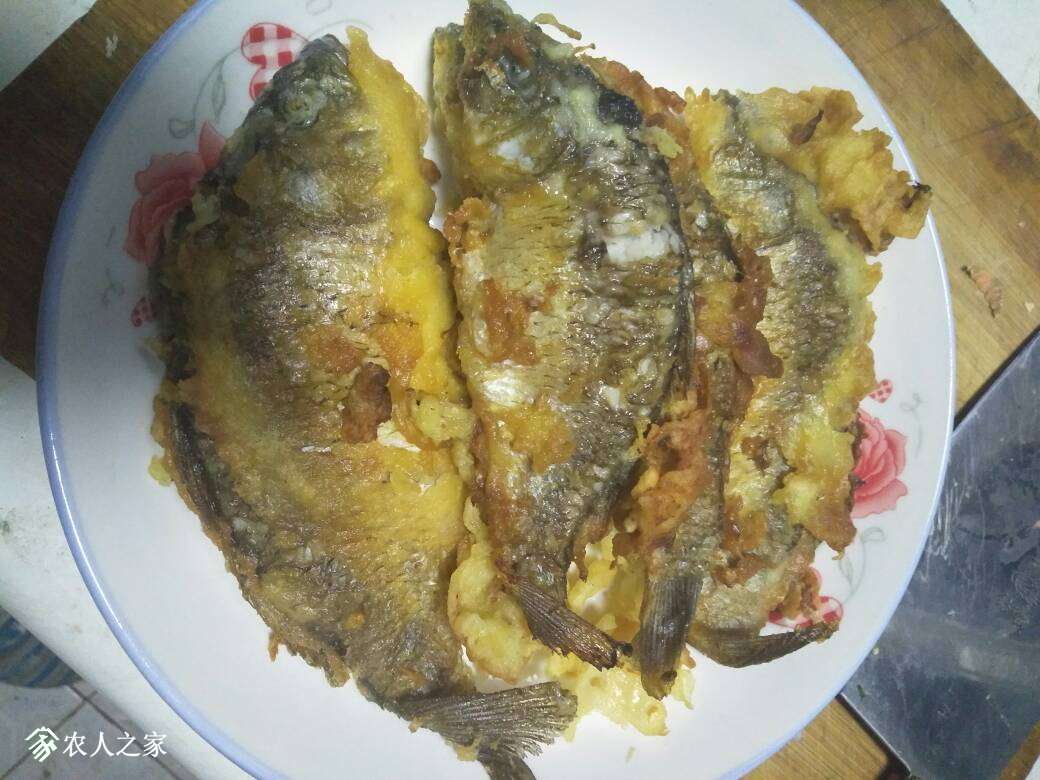 061058omkzaeihi6hm0hj7.jpg