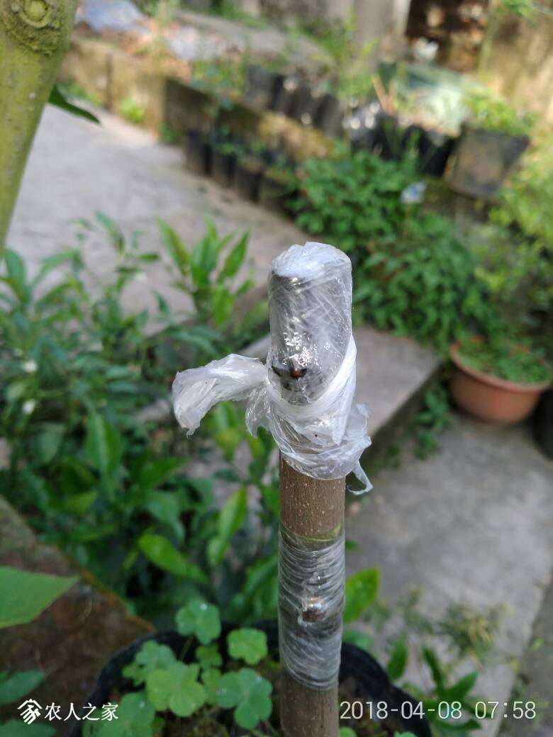 075945vmmbemlip0gmdgeg.jpg