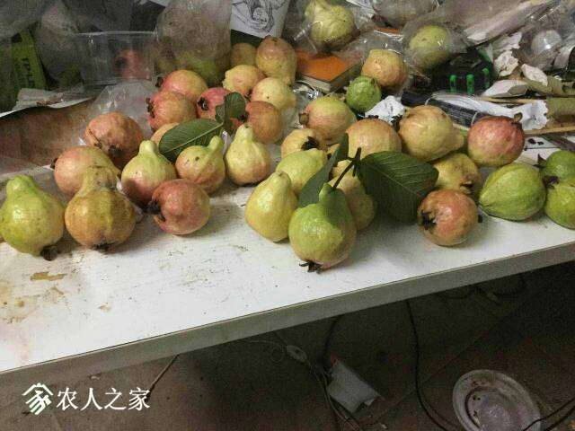 232232js467awke44hthzc.jpg