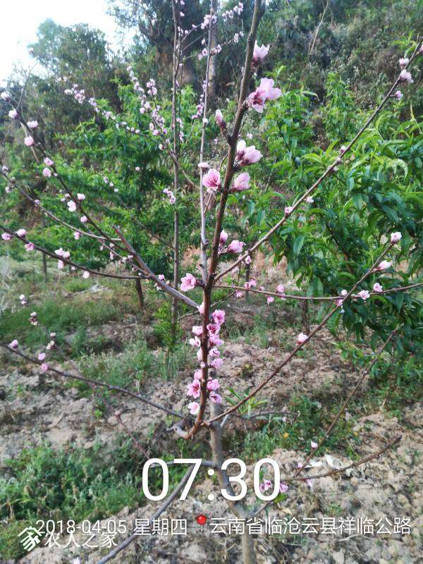 093149awi6he57aupagoey.jpg