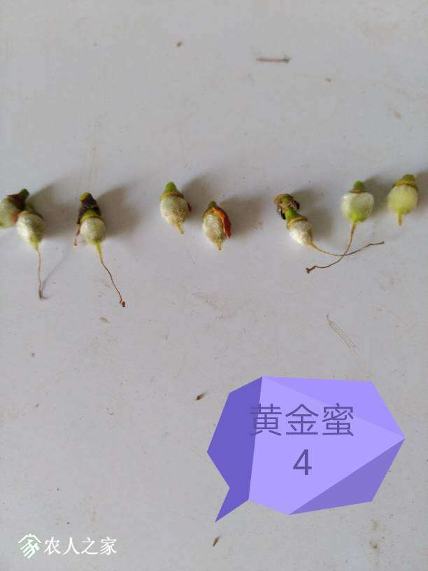 101032cggong6gf6vg2g2t.jpg