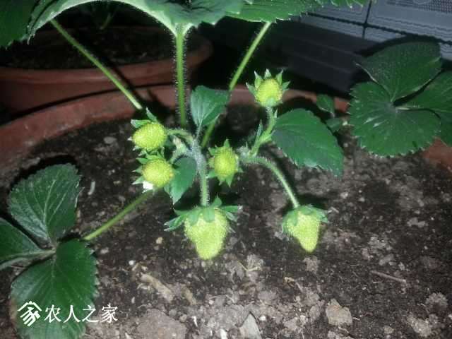 20180409_210521.jpg