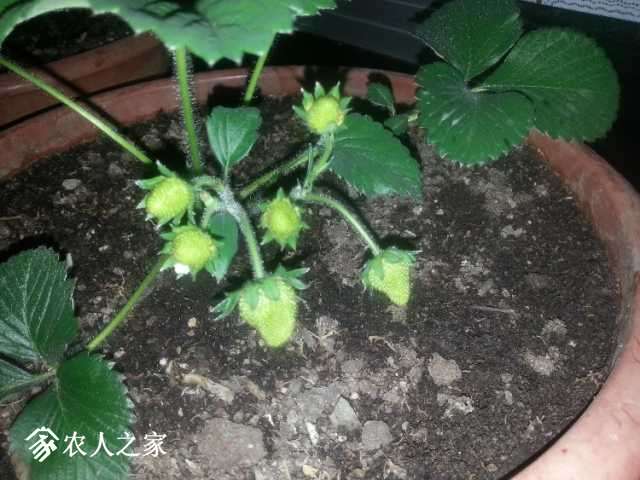 20180409_210127.jpg