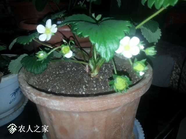 20180409_210025.jpg