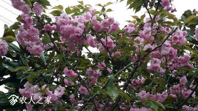 20180405_150259_resized.jpg