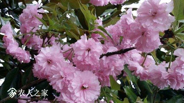 20180405_150539_resized.jpg