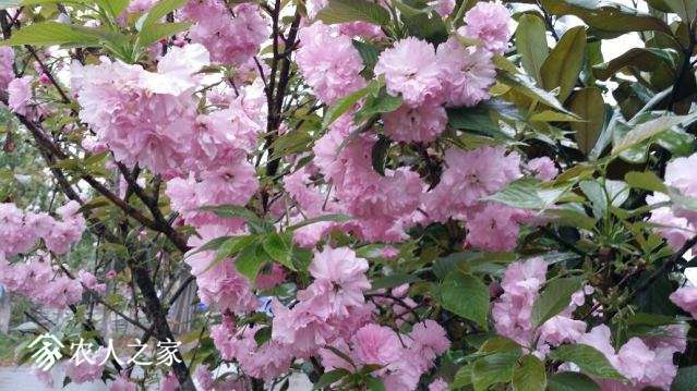 20180405_150831_resized.jpg