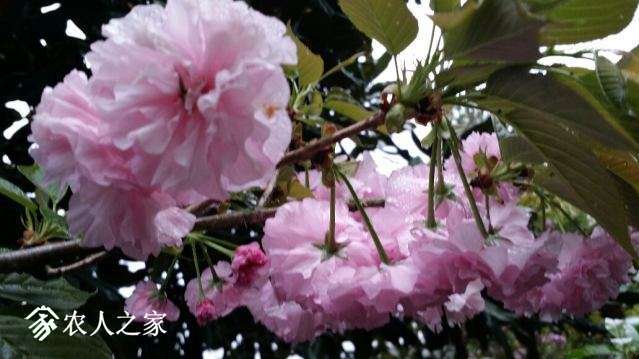 20180405_151619_resized.jpg