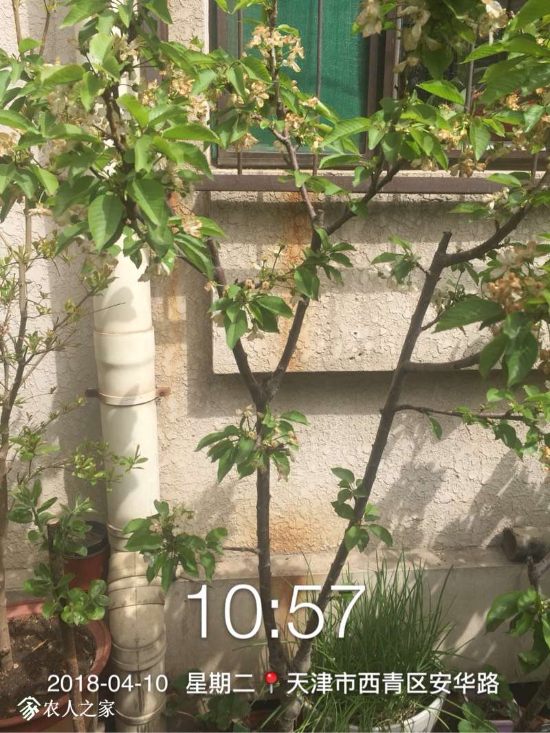 110046bikoqo2qtt41kj1u.jpg