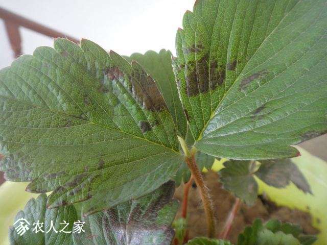 DSC09479.JPG