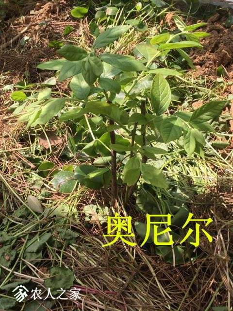 QQͼƬ20180410113832.jpg