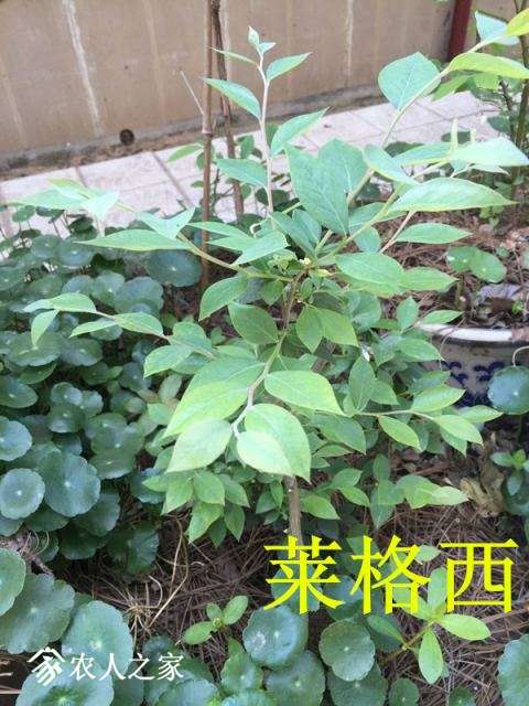 QQͼƬ20180410113847.jpg