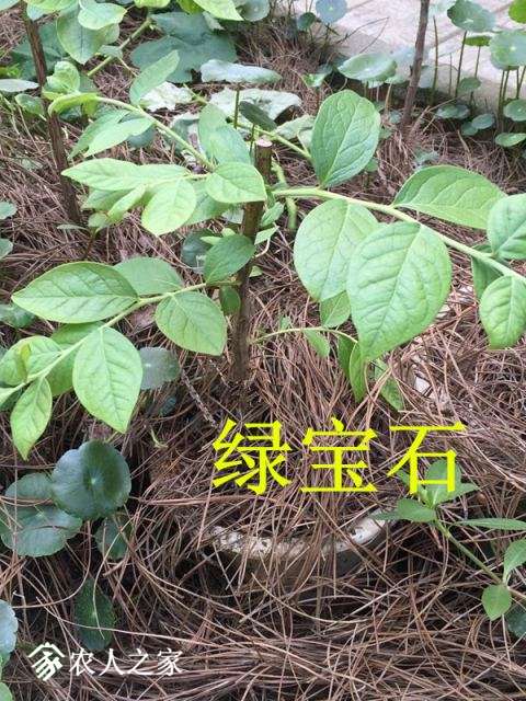QQͼƬ20180410113855.jpg