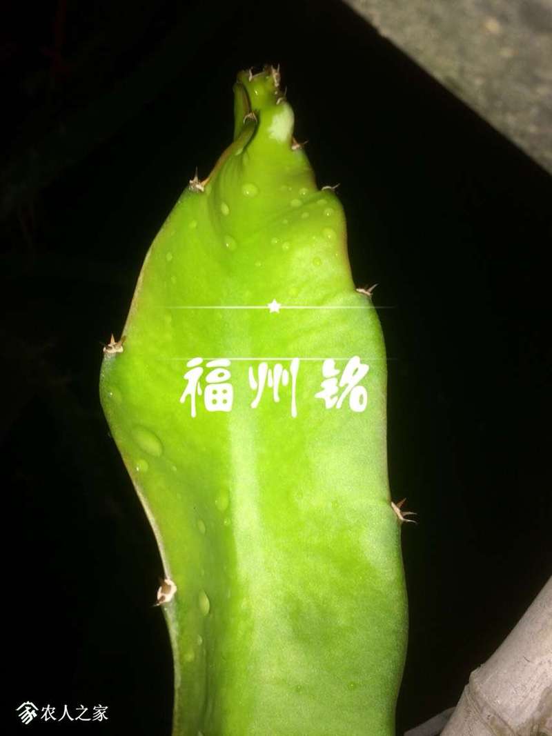 122526h8ickpv853zzlc4l.jpg