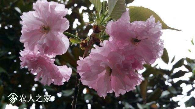 20180405_151630_resized.jpg