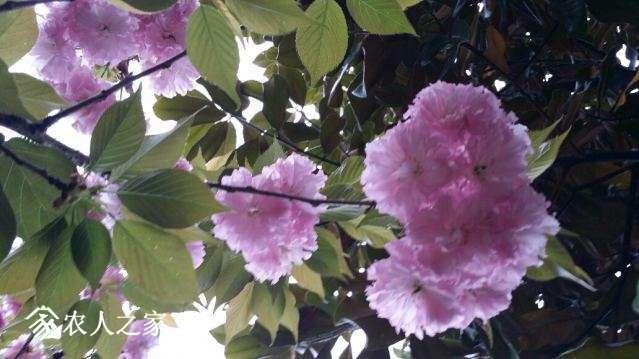 20180405_151744_resized.jpg