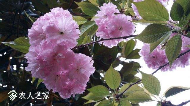 20180405_151924_resized.jpg