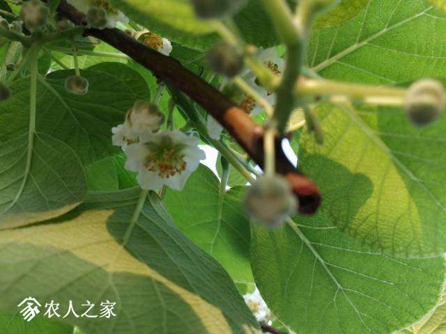 062432nza296332ntu9112.jpg